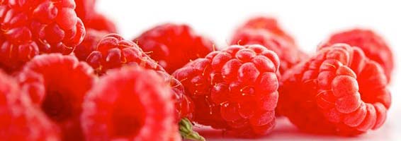 benefits of raspberry ketone