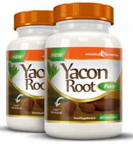 Buy Yacon Root Pure capsules from Evolution Slimming