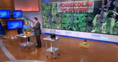 Forskolin diet pills in the media